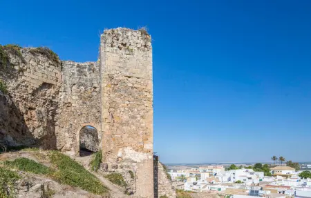 Location Maison 10 personnes à Morón de la Frontera - Photo 39