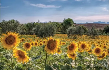 Firenze, Appartement 6 personnes à Castelfiorentino FI - Photo 20