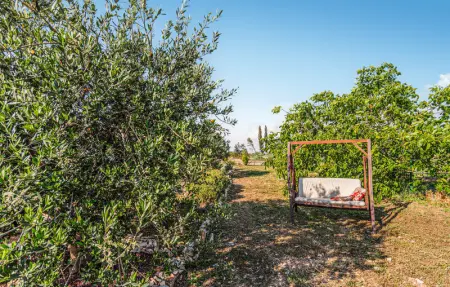 Location Maison 7 personnes à Sutivan - Photo 19