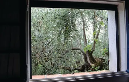 Location Maison 4 personnes à Châteauneuf de Grasse - Photo 20