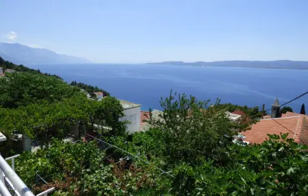 Location Maison 8 personnes à Mimice - Photo 7