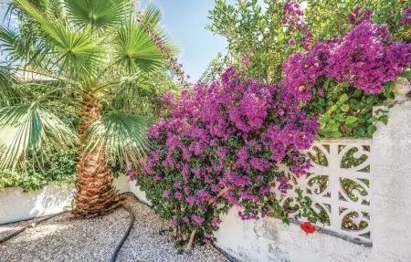 Urb. San Luis, Maison 4 personnes à Torrevieja - Photo 17