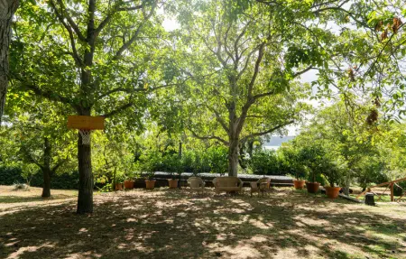 Location Maison 6 personnes à Caprarola - Photo 30