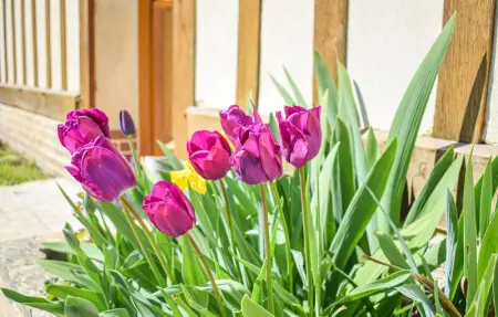 Location Maison 6 personnes à Héricourt en Caux - Photo 10