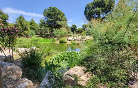 Location Maison 7 personnes à Rojales - Photo 29