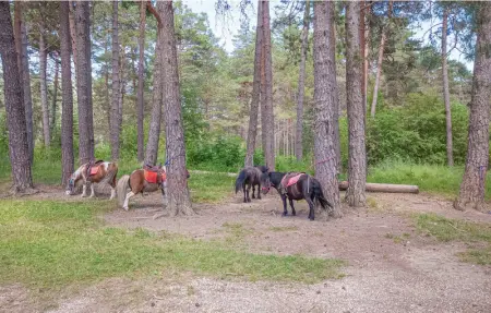 Location Maison 8 personnes à Andon - Photo 37