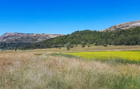 Location Maison 8 personnes à Andon - Photo 40