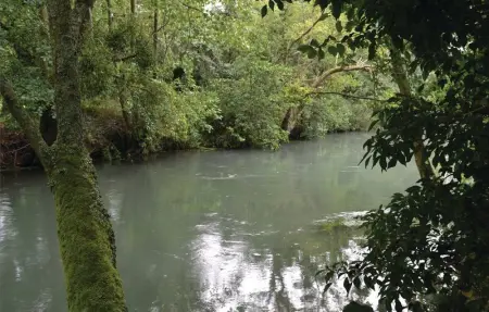 Gites des Blanchiries, Maison 4 personnes à Aubin Saint Vaast - Photo 10