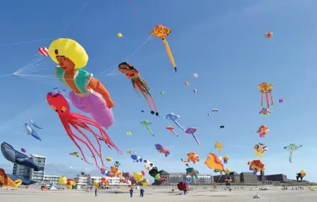 Gites des Blanchiries, Maison 4 personnes à Aubin Saint Vaast - Photo 16