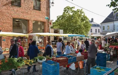 Gites des Blanchiries, Maison 4 personnes à Aubin Saint Vaast - Photo 19