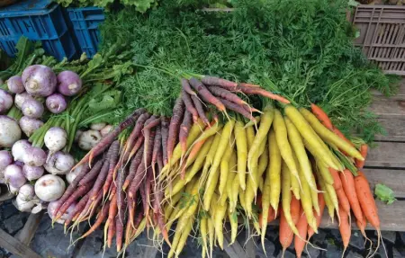 Gites des Blanchiries, Maison 4 personnes à Aubin Saint Vaast - Photo 20