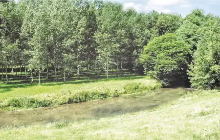 Location Maison 14 personnes à Ardentes - Photo 10