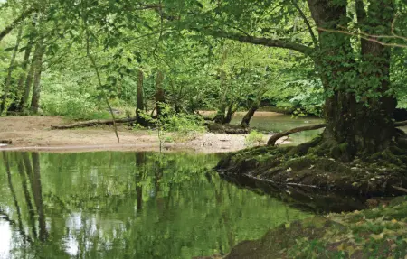 Location Maison 14 personnes à Ardentes - Photo 11