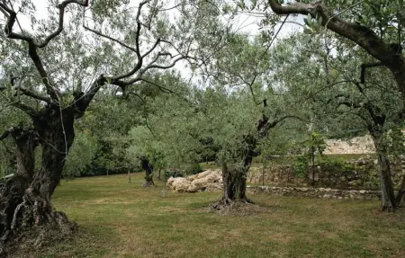 Location Maison 11 personnes à Fayence - Photo 6