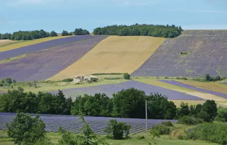 Location Maison 5 personnes à Sault - Photo 33