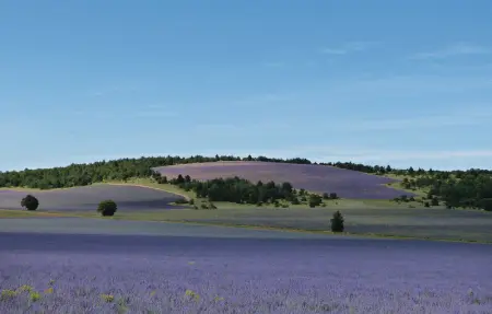 Location Maison 5 personnes à Sault - Photo 34