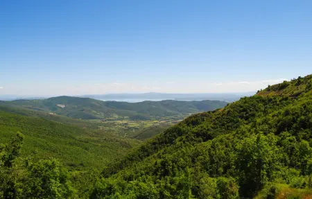 Villa Margherita, Maison 15 personnes à Cortona AR - Photo 32