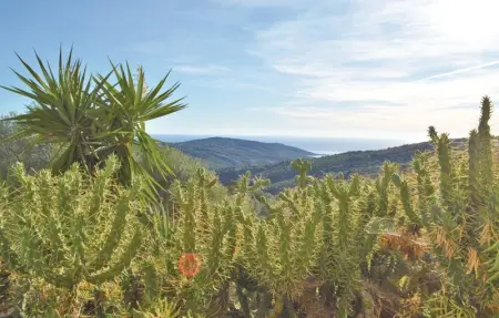 Location Appartement 6 personnes à Serra di Ferro - Photo 9