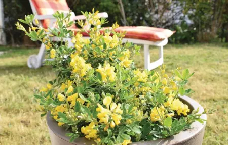 Location Maison 5 personnes à Dives sur Mer - Photo 10