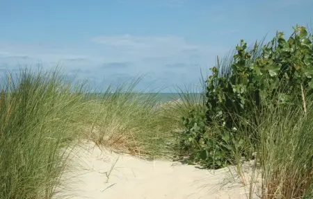 Goudstrand, Appartement 5 personnes à Oostduinkerke - Photo 14