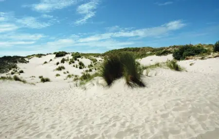 Goudstrand, Appartement 5 personnes à Oostduinkerke - Photo 15