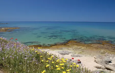 Li Scalitti 2, Maison 4 personnes à Badesi OT - Photo 17