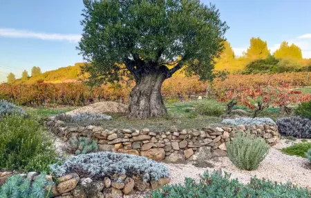 Location Maison 12 personnes à Murviel lès Béziers - Photo 6