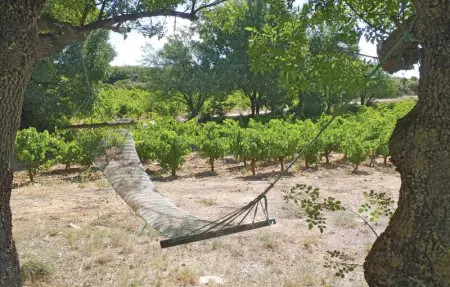 Location Maison 12 personnes à Murviel lès Béziers - Photo 7