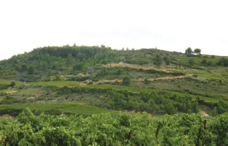 Location Maison 12 personnes à Murviel lès Béziers - Photo 30