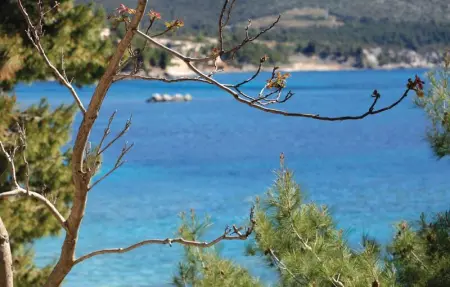 Location Maison 10 personnes à Orebic - Photo 50