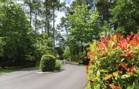 La clairiere aux Chevreuils, Maison 10 personnes à Moliets et Maa - Photo 12