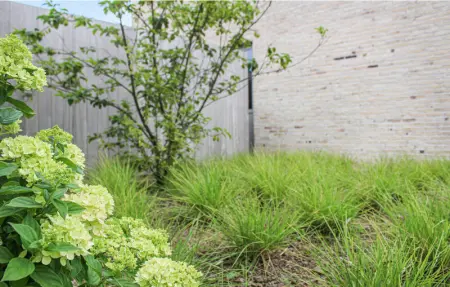 Location Maison 12 personnes à Diksmuide - Photo 9