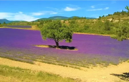 Location Maison 8 personnes à St. Maurice sur Eygues - Photo 27