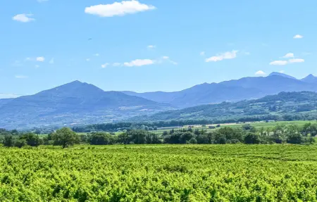 Location Maison 8 personnes à St. Maurice sur Eygues - Photo 28