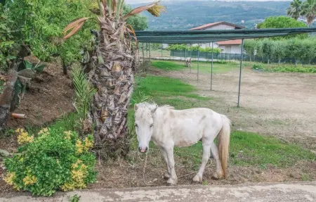 Casa Tulipano, Appartement 4 personnes à Ricadi - Photo 12