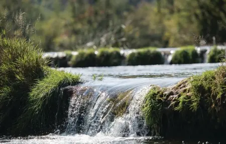 Location Maison 8 personnes à Gornji Zvecaj - Photo 53