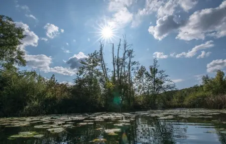 Location Maison 8 personnes à Gornji Zvecaj - Photo 55