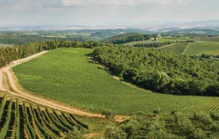 Piazzale 1, Appartement 4 personnes à Castellina Chianti SI - Photo 24