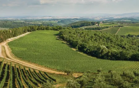 Piazzale 2, Appartement 4 personnes à Castellina Chianti SI - Photo 19