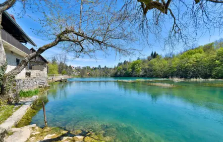 Location Maison 8 personnes à Donji Zvecaj - Photo 19