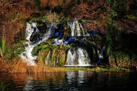 Location Maison 10 personnes à Cista Velika - Photo 47