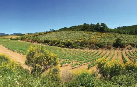 Location Maison 6 personnes à Prades sur Vernazobre - Photo 32