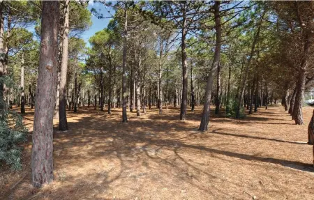 Location Maison 8 personnes à Baixas - Photo 30