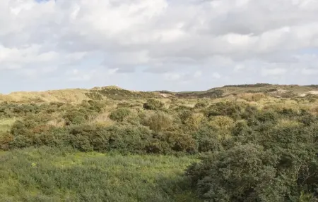 Zeebos  REF 236, Maison 8 personnes à Bredene - Photo 25