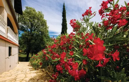 Location Maison 10 personnes à Matulji - Photo 20