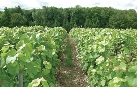 Apt A, Maison 5 personnes à Jaulgonne - Photo 20
