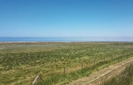 Location Maison 4 personnes à Mont Dol - Photo 17