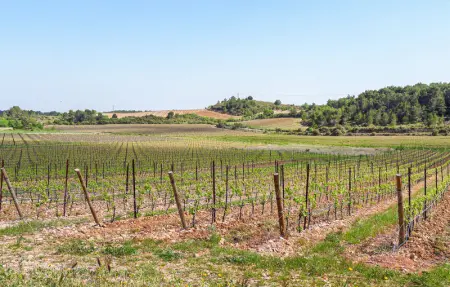 Location Maison 10 personnes à Agde - Photo 25