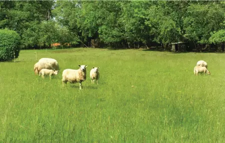 Location Maison 6 personnes à Fleurac - Photo 5