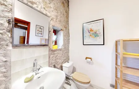 Location Maison 9 personnes à Monsegur - Photo 30